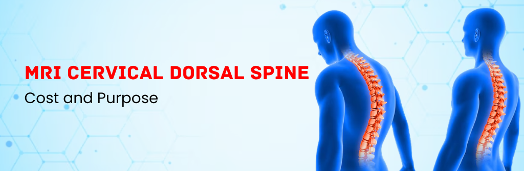  MRI Cervical Dorsal Spine Cost and Purpose